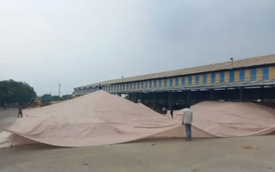 Haryana News : मौसम ने फिर ली करवट झज्जर-रेवाड़ी-नारनौल समेत दक्षिणी जिलों में बारिश 2025