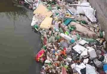 Hisar News: नहर में पड़े मृत पशु 2025