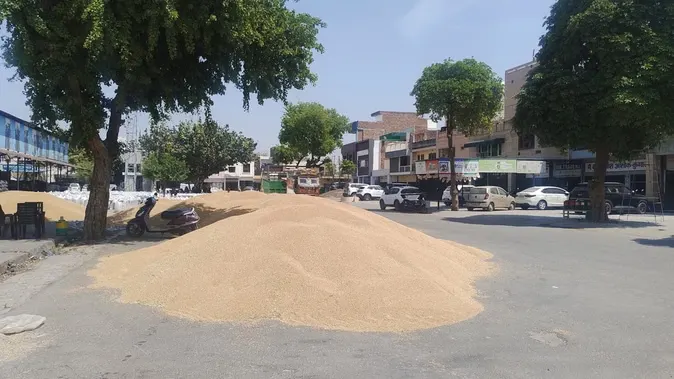 Hisar News: 3 दिन में मंडी से 50 प्रतिशत गेहूं की उठान के आदेश 2026
